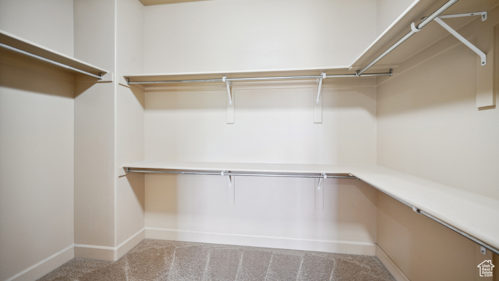 Walk in closet with carpet flooring