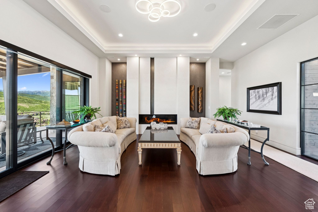 Living area featuring a tray ceiling, a glass covered fireplace, wood finished floors, and recessed lighting