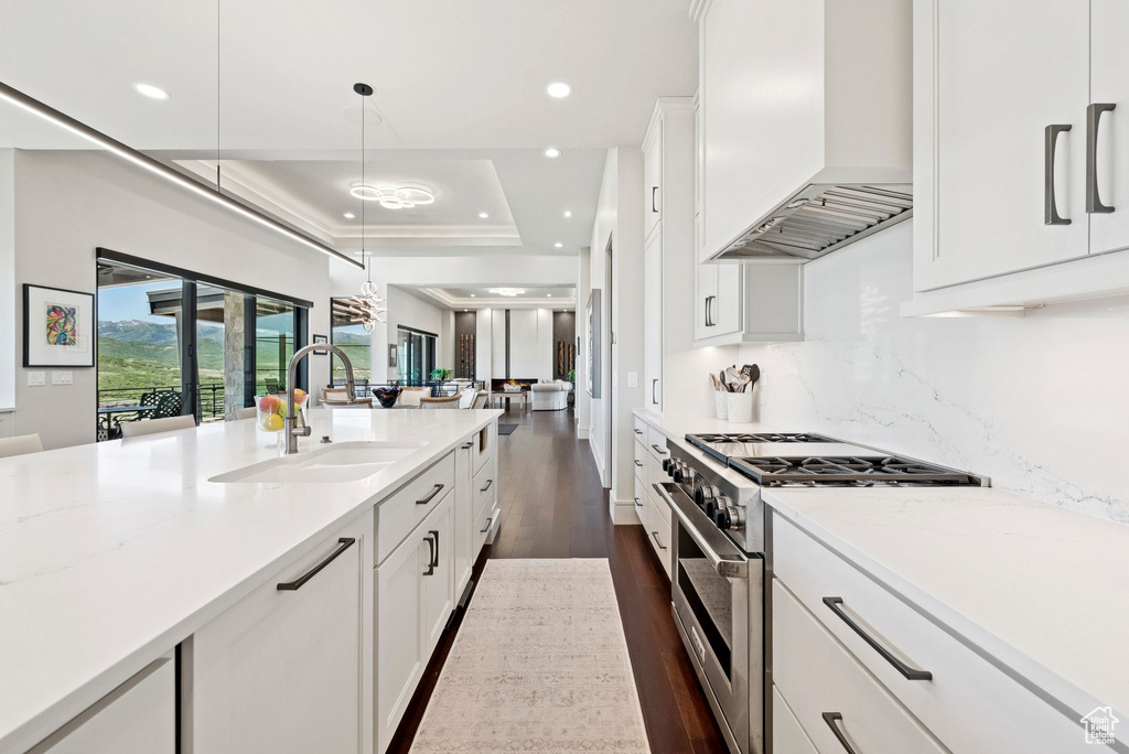 Kitchen with high end stainless steel range oven, premium range hood, a raised ceiling, white cabinets, and dark wood-type flooring