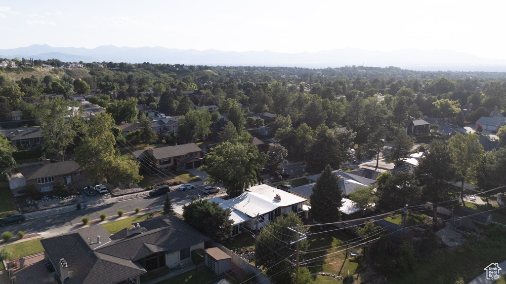 Aerial perspective of suburban area with a forest and a mountainous background