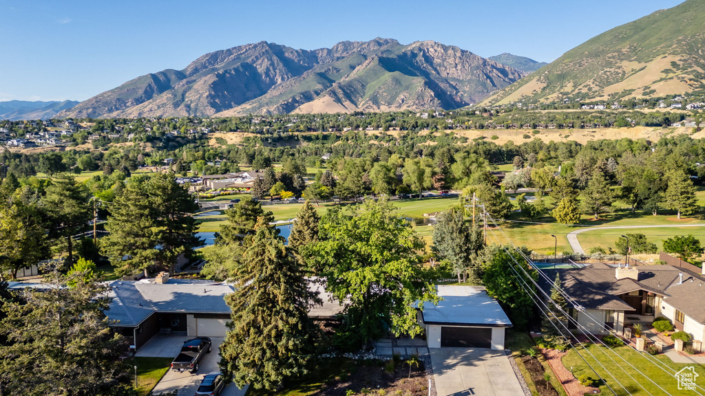 Mountain view