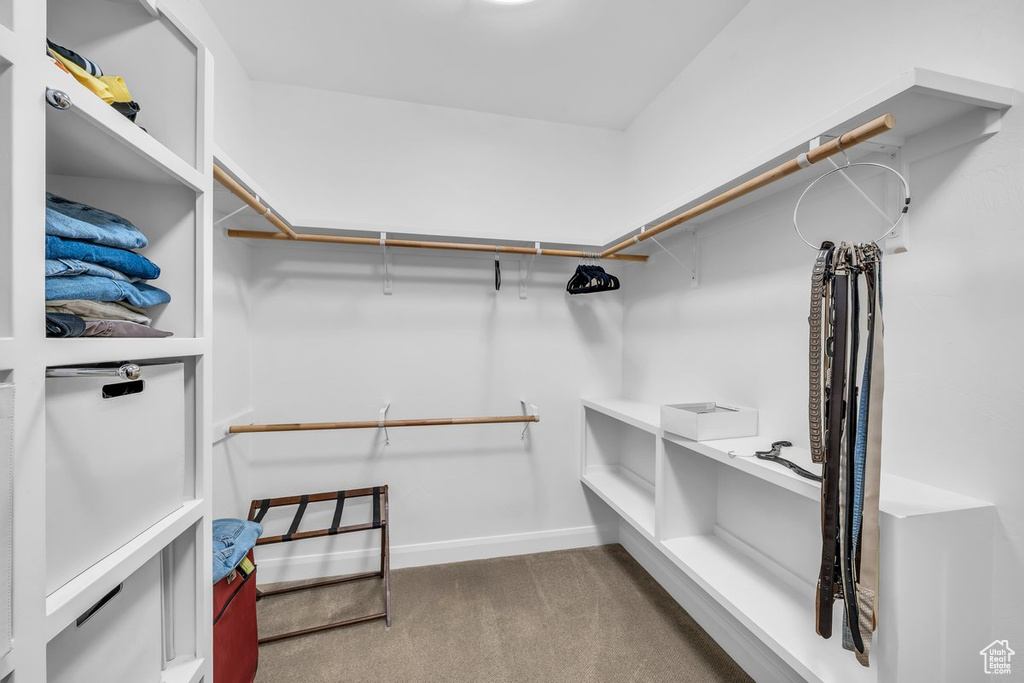 Walk in closet featuring carpet floors