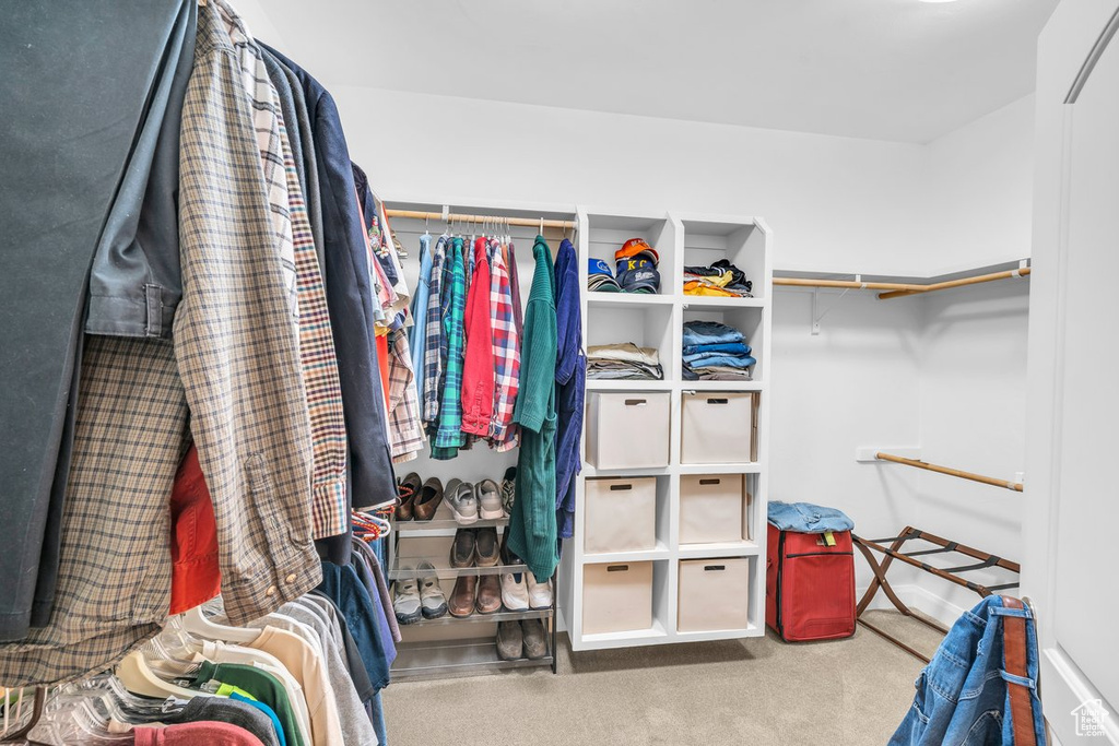 Walk in closet featuring carpet floors