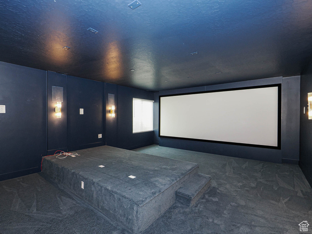 View of carpeted home theater