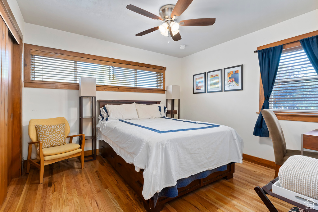 Bedroom featuring multiple windows, wood finished floors, a ceiling fan, and a closet