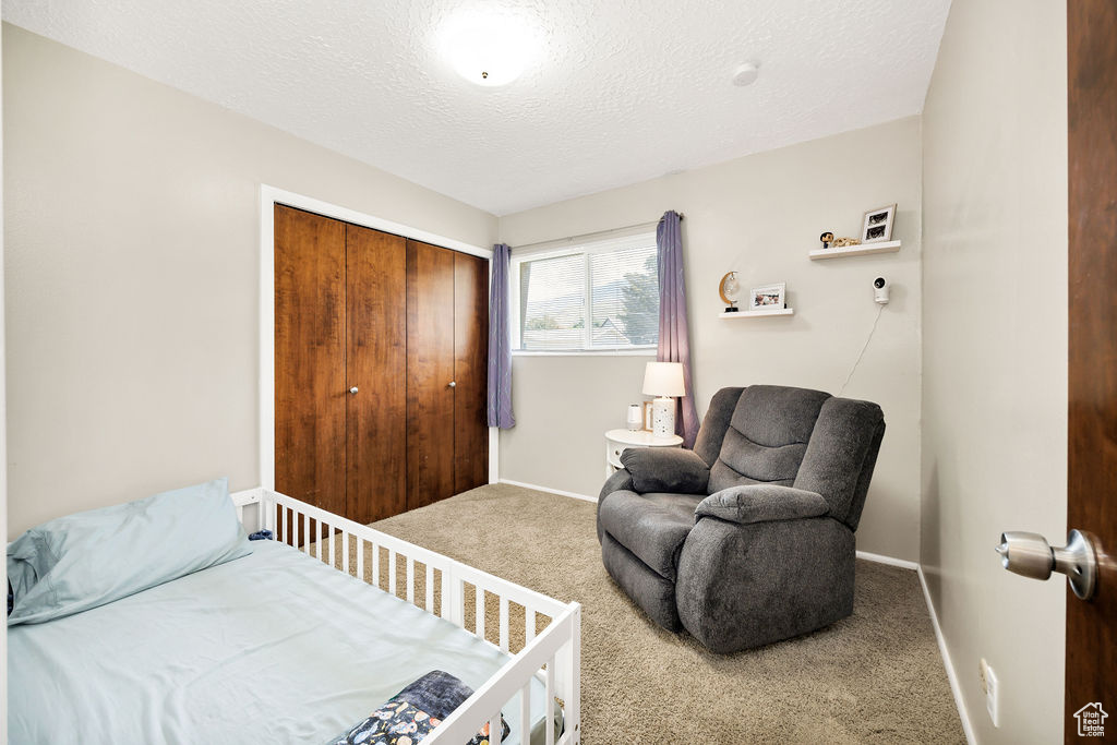 Carpeted bedroom with a closet and a textured ceiling