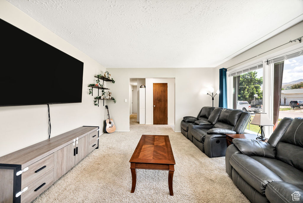 Living area with a textured ceiling and light carpet