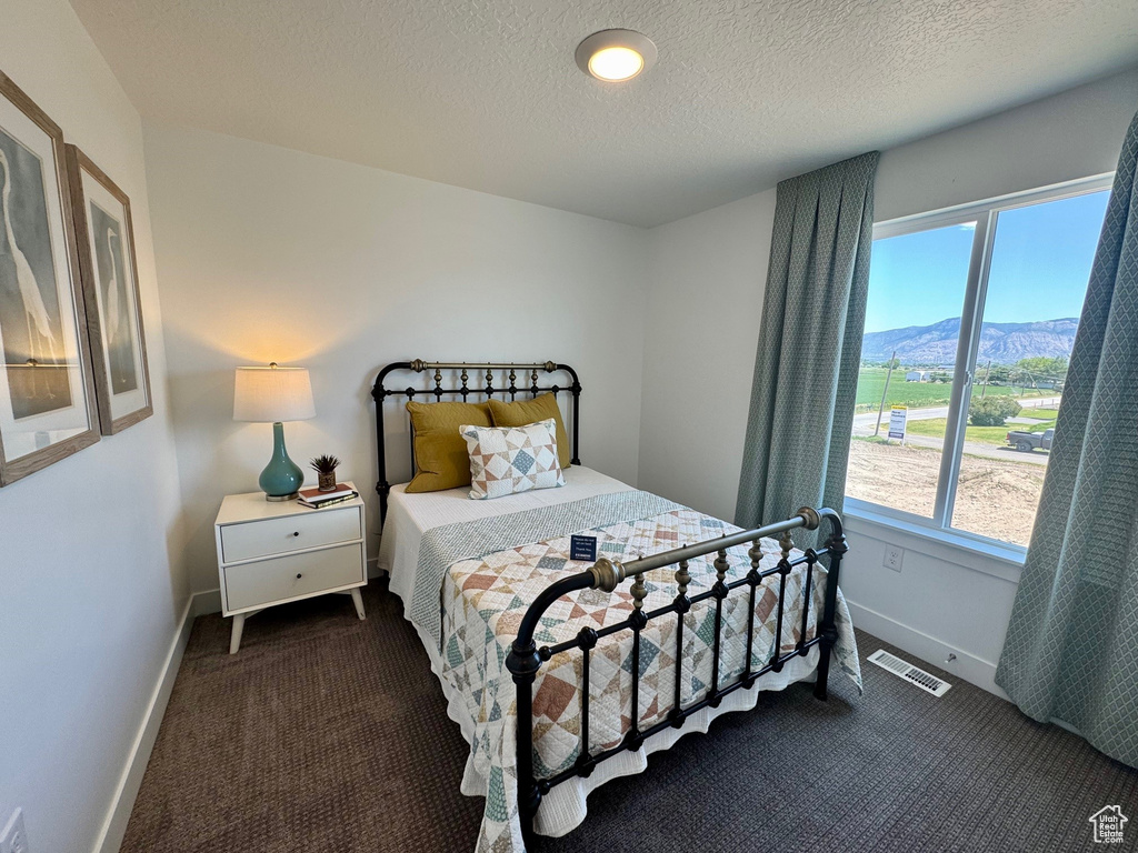 Bedroom featuring dark colored carpet, a textured ceiling, and a mountain view