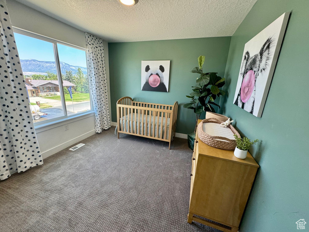 Carpeted bedroom featuring a textured ceiling, a nursery area, and a mountain view