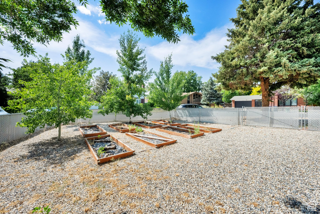 View of yard featuring a garden