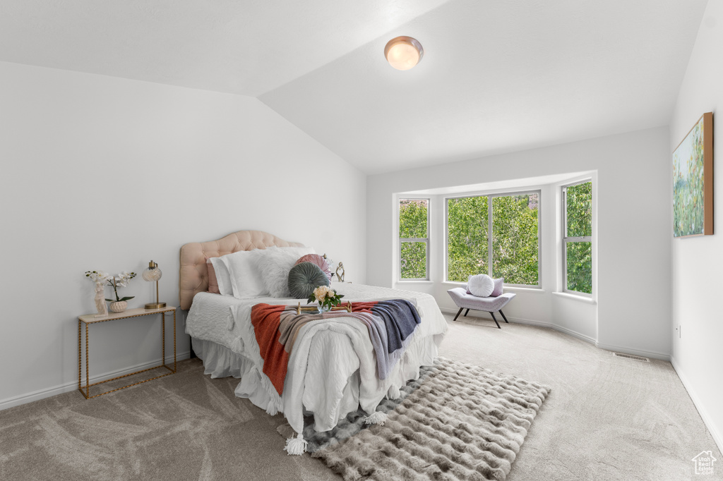 Carpeted bedroom with lofted ceiling and baseboards