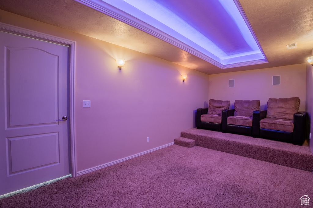 Cinema room with carpet and a raised ceiling