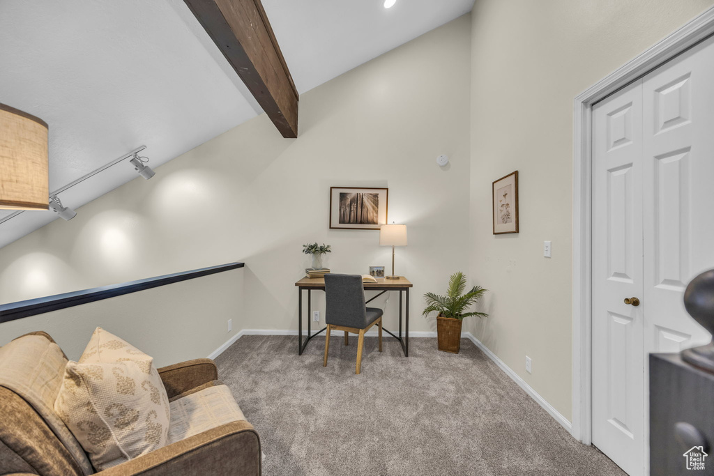 Office space with carpet and rail lighting
