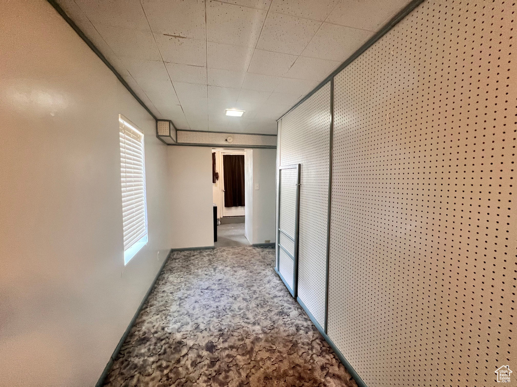 Hallway with carpet flooring