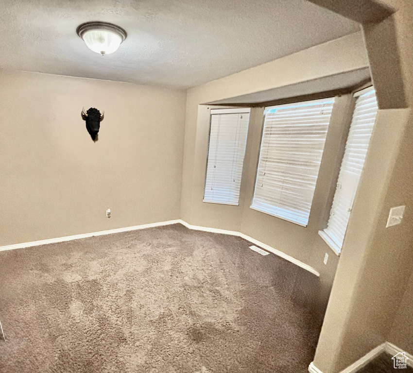 Unfurnished room featuring carpet and a textured ceiling