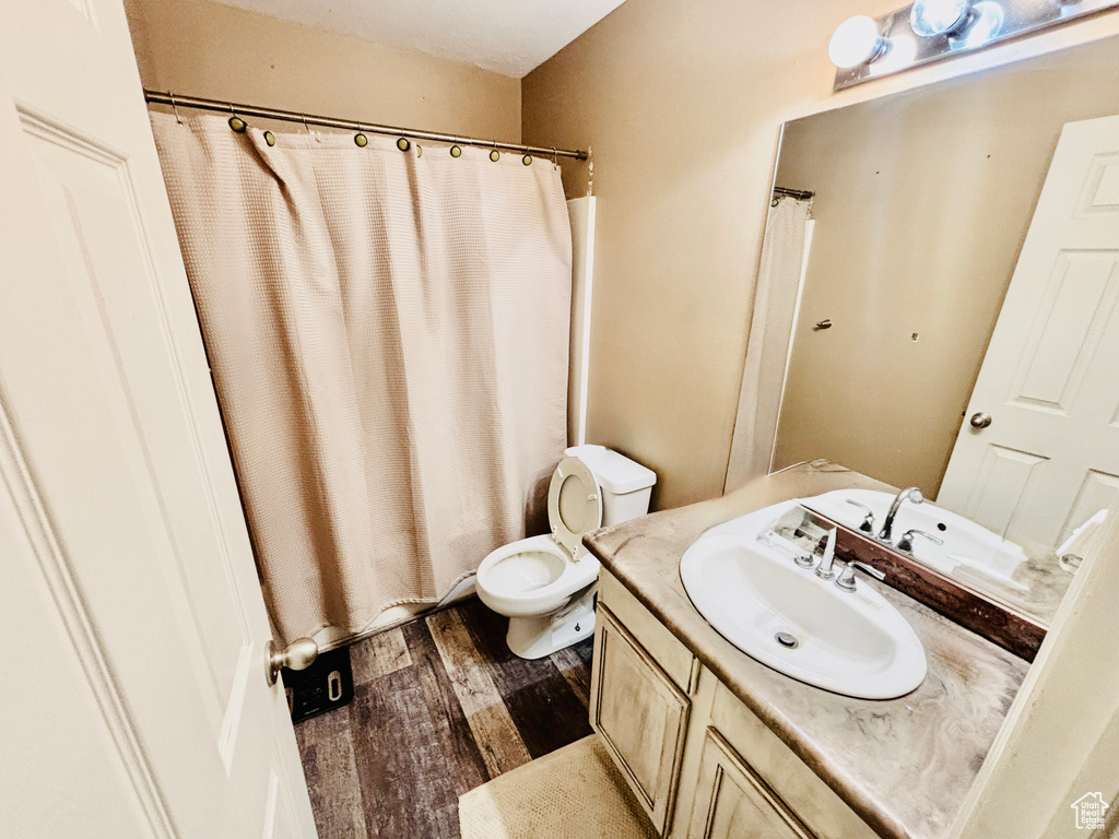 Bathroom with vanity, wood finished floors, and curtained shower