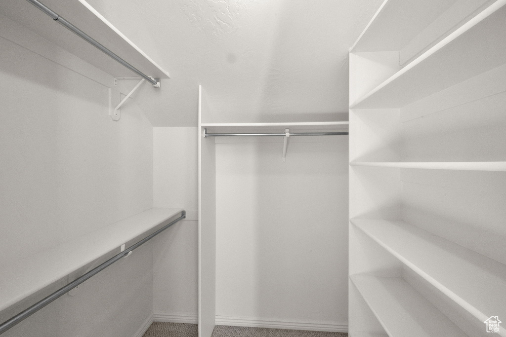 Walk in closet featuring carpet