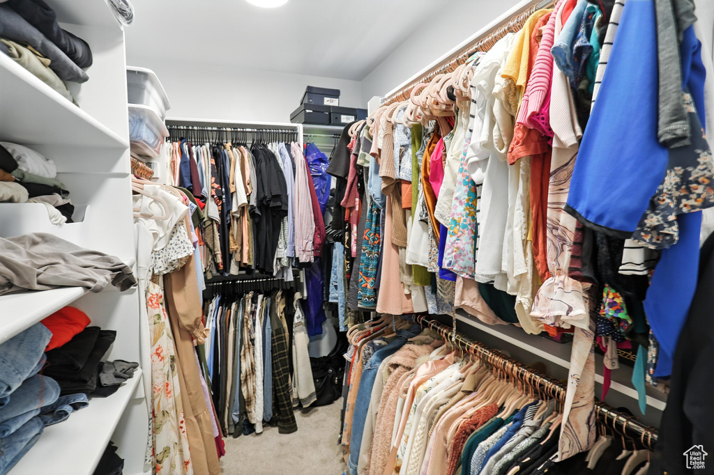 Spacious closet with carpet flooring