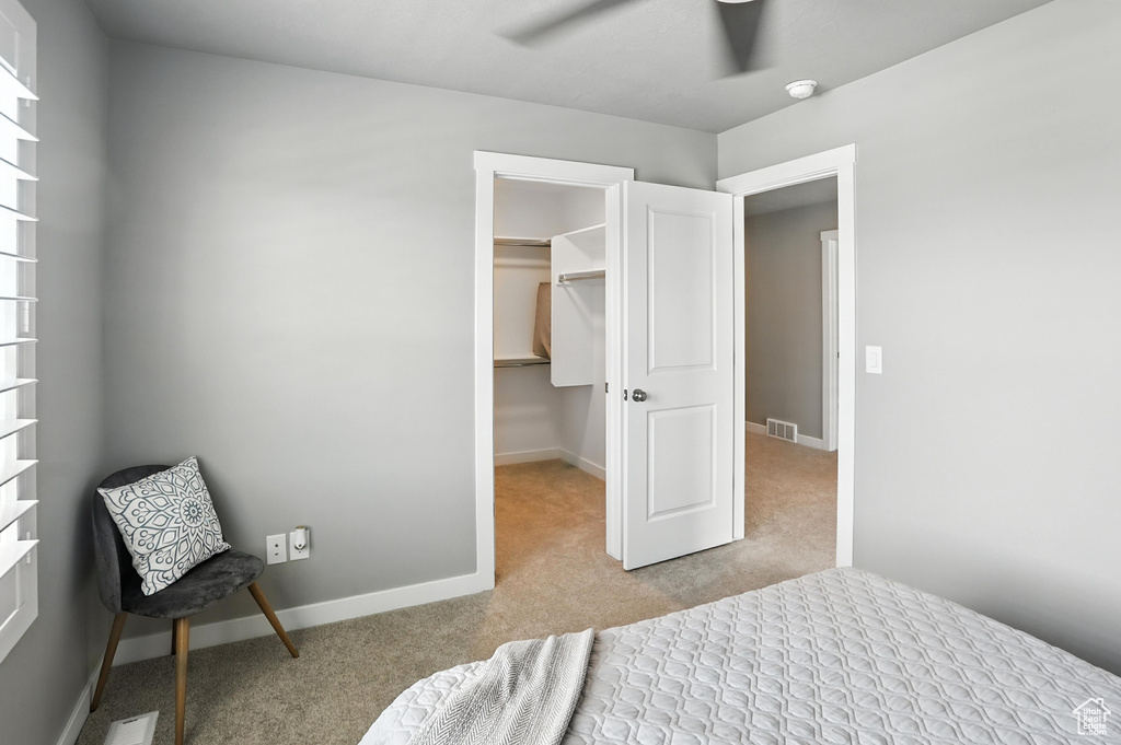 Bedroom featuring carpet flooring, a walk in closet, and ceiling fan