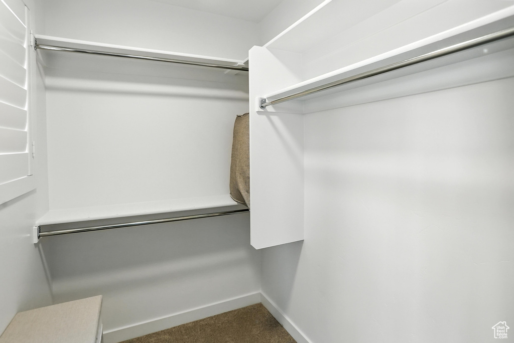 Walk in closet featuring carpet flooring