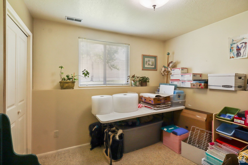 Office area featuring carpet