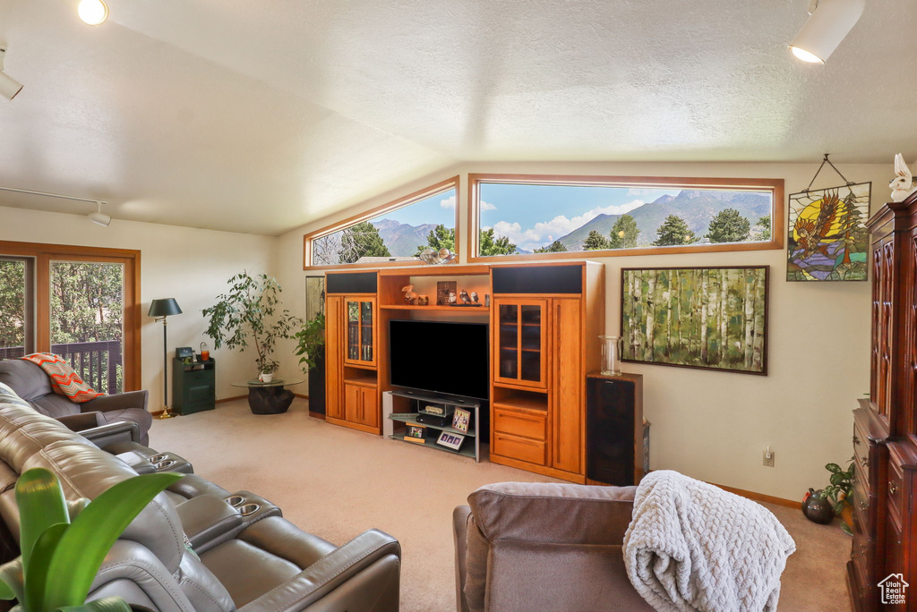 Living area featuring carpet flooring and lofted ceiling