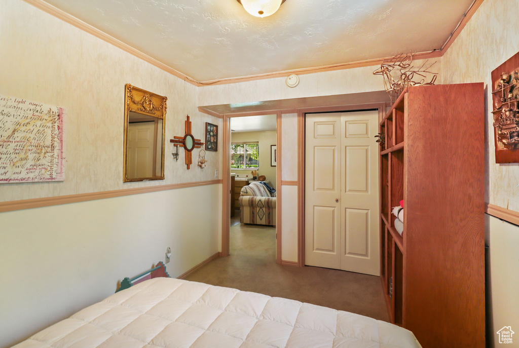 Carpeted bedroom with crown molding and a closet