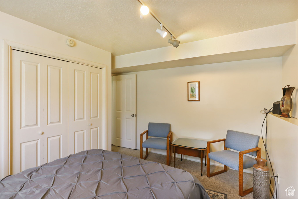 Bedroom featuring carpet floors, a closet, and track lighting