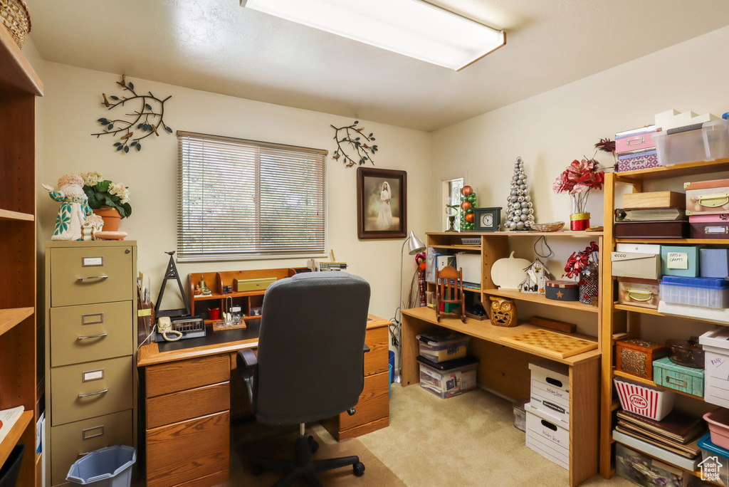 Home office featuring light colored carpet