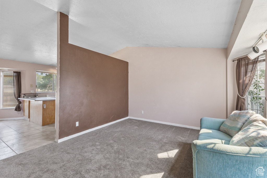 Living room with light carpet and a textured ceiling