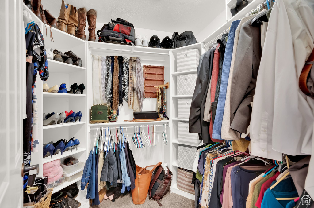 Spacious closet featuring carpet flooring