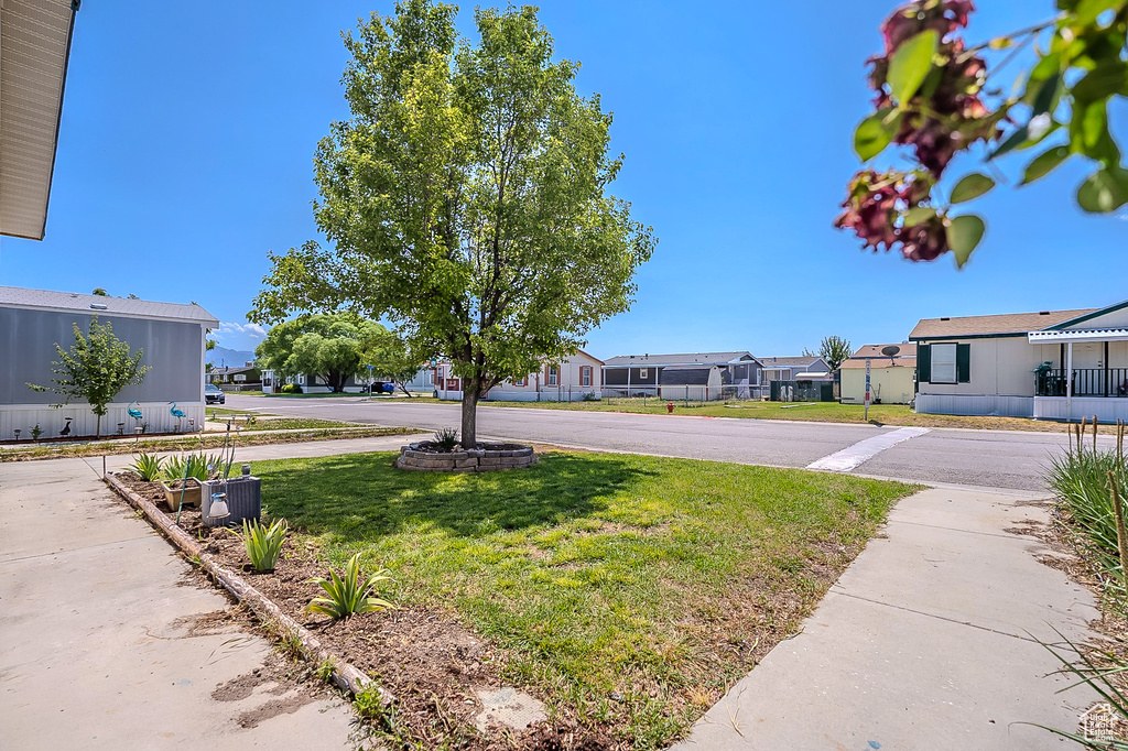 View of grassy yard featuring a residential view