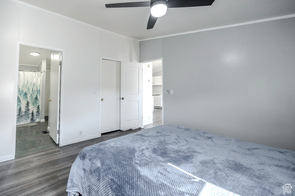 Bedroom with dark wood finished floors, ornamental molding, ceiling fan, and ensuite bath