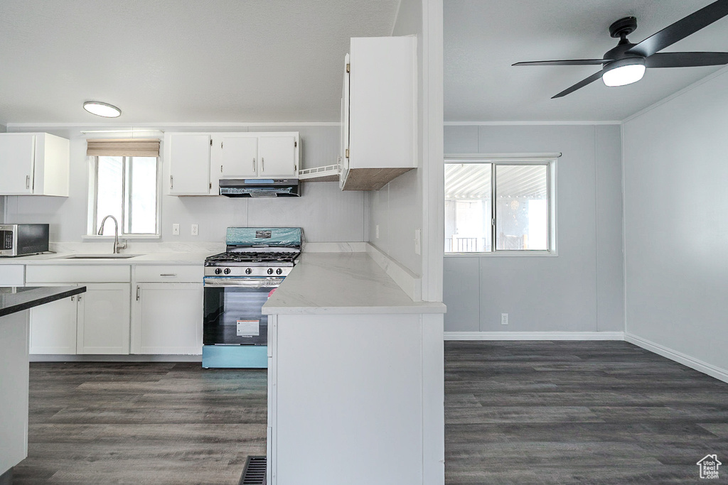 Kitchen with stainless steel appliances, under cabinet range hood, dark wood-type flooring, a ceiling fan, and white cabinets