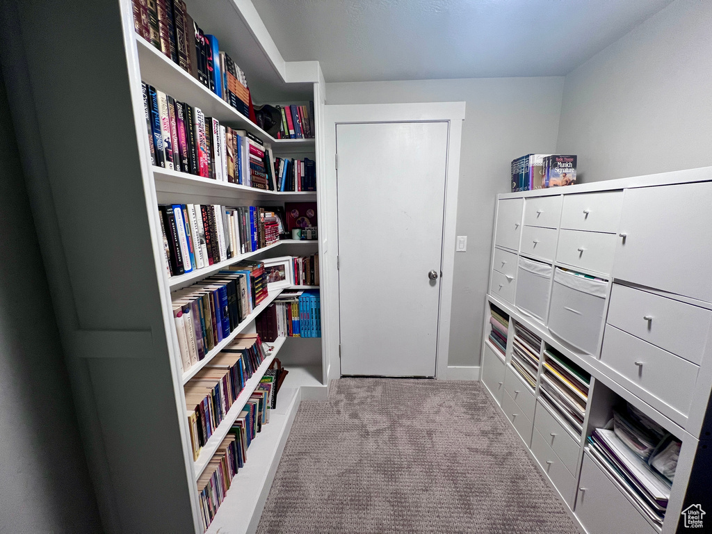Living area featuring carpet floors