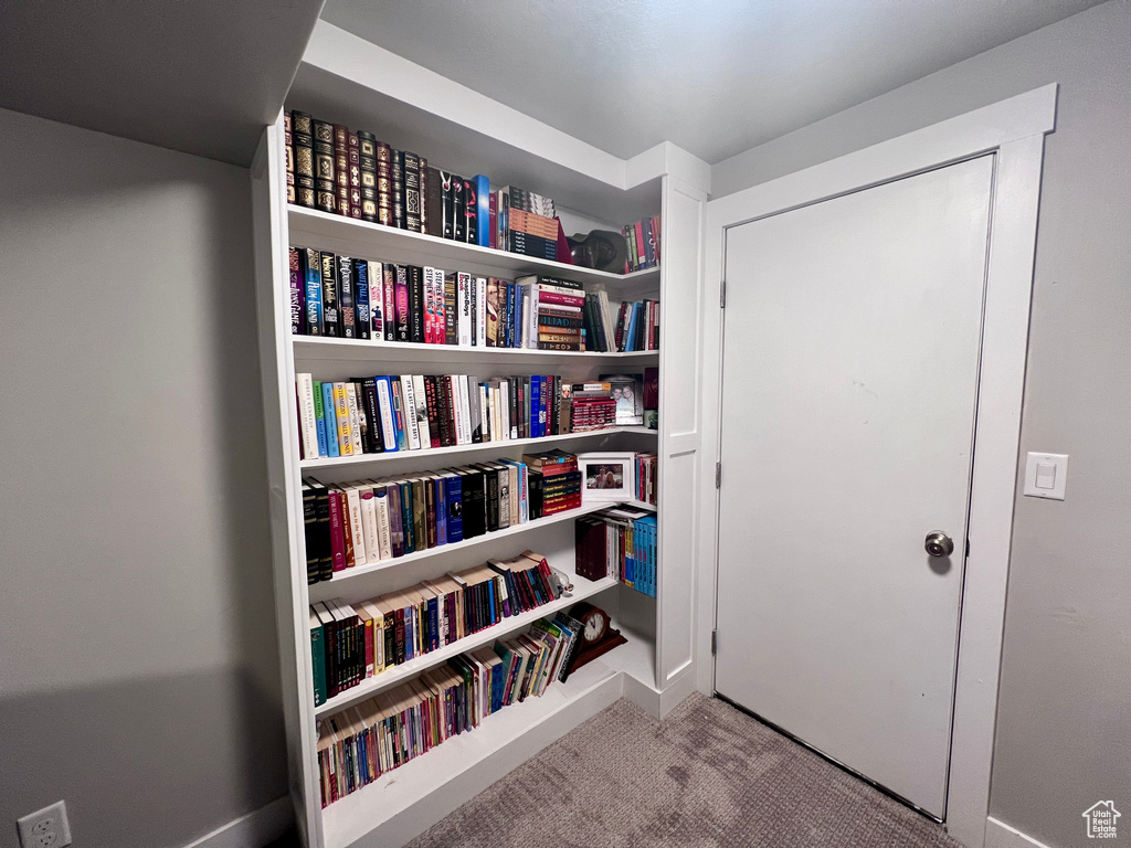 Living area featuring carpet