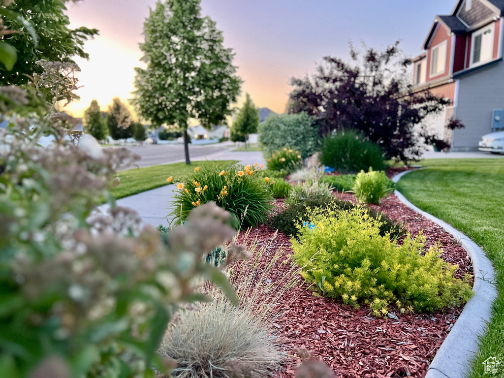 Yard at dusk with a yard