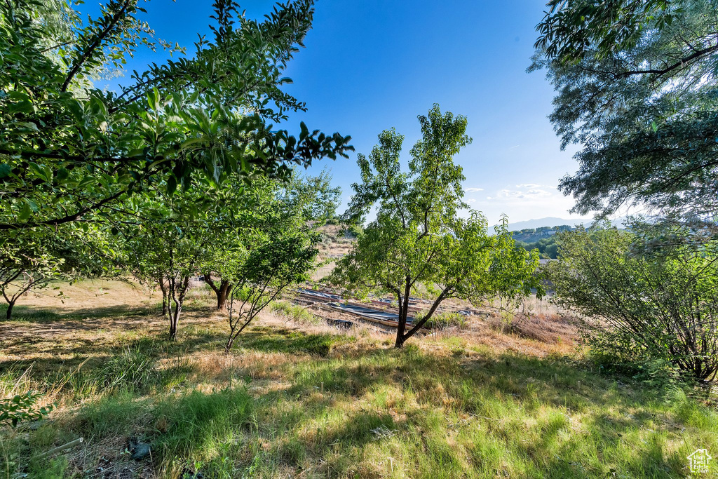 View of yard with a mountain view