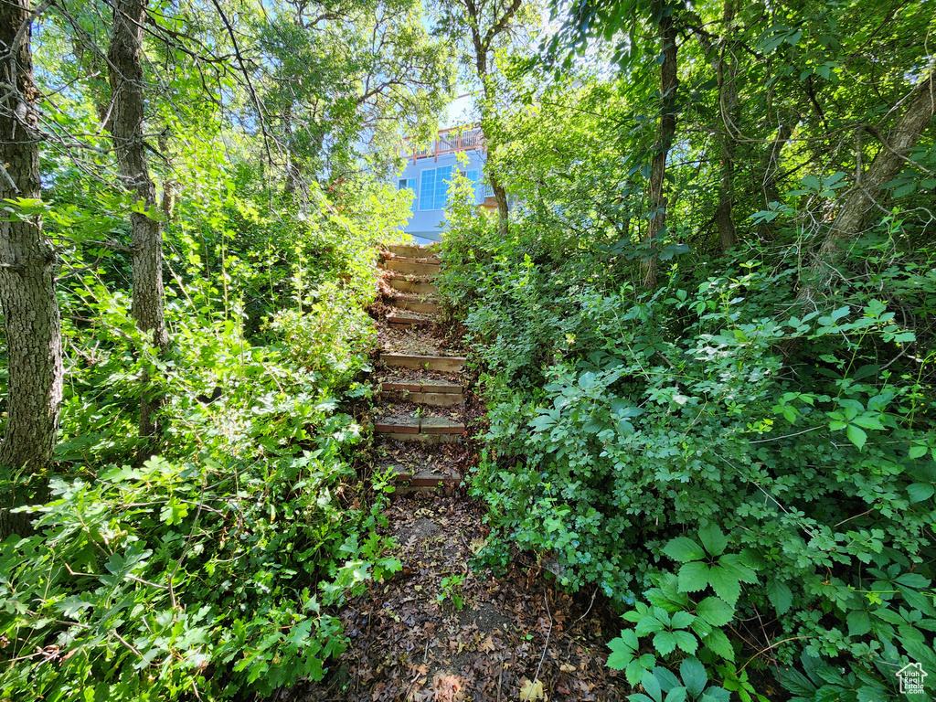 View of nature
