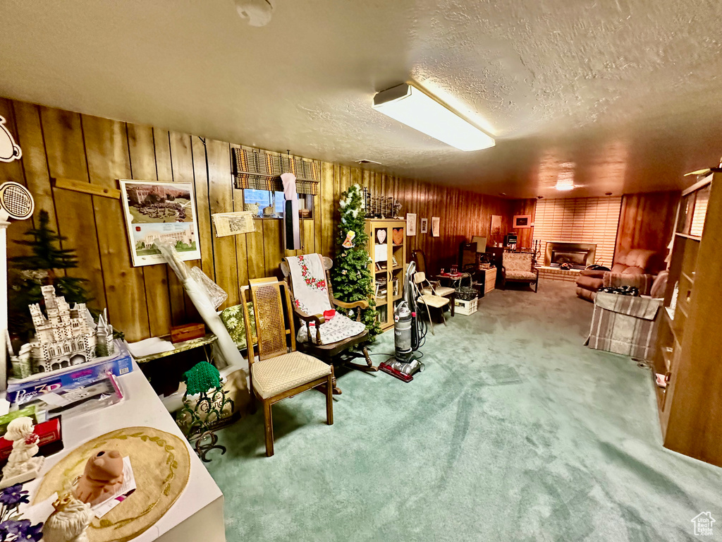 Miscellaneous room with wooden walls, carpet floors, and a textured ceiling