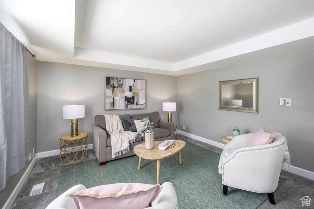 Carpeted living room featuring baseboards and a raised ceiling