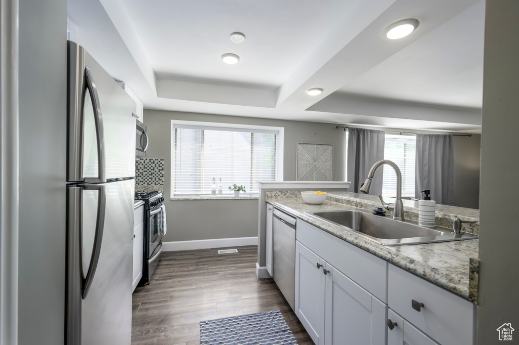 Kitchen featuring a tray ceiling, appliances with stainless steel finishes, dark wood-type flooring, white cabinets, and light stone countertops