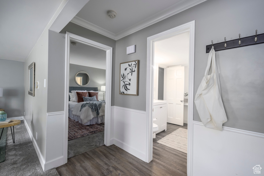 Hall with dark wood finished floors and ornamental molding