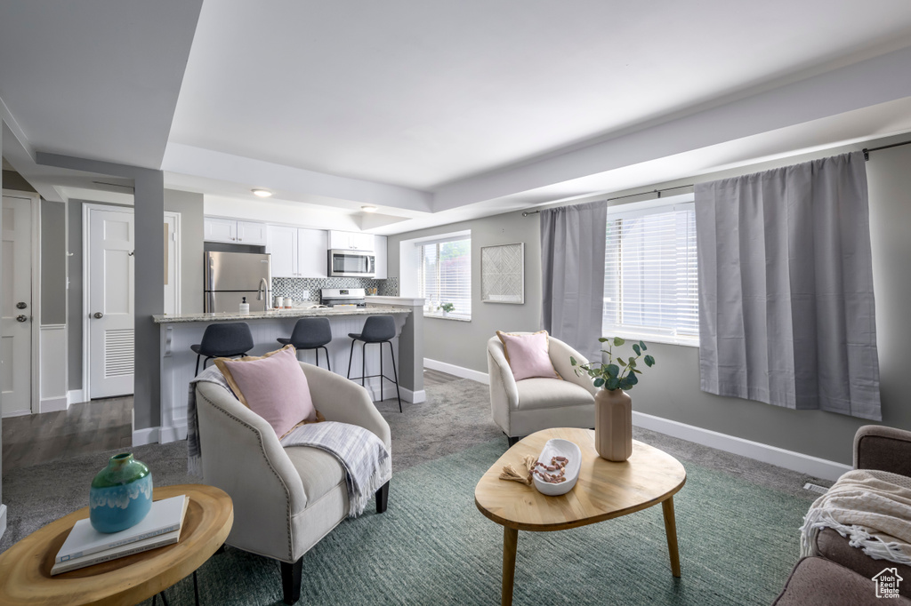 Living area with a raised ceiling and baseboards