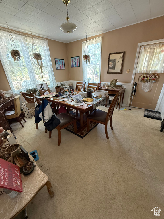 Carpeted dining room with a wainscoted wall