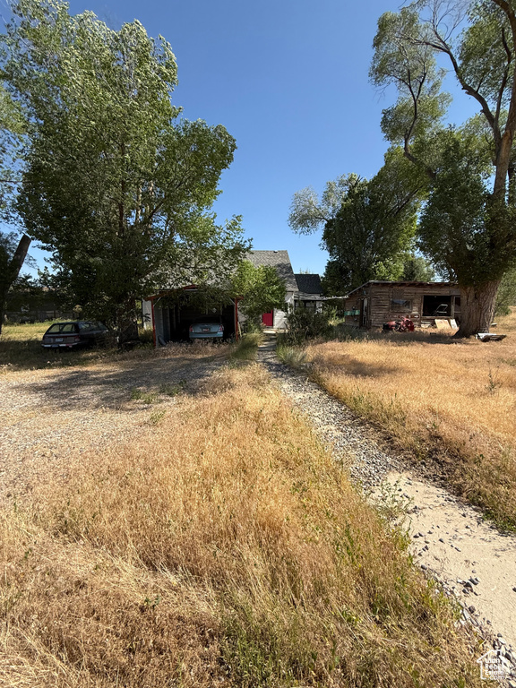 View of yard with dirt driveway and a detached carport