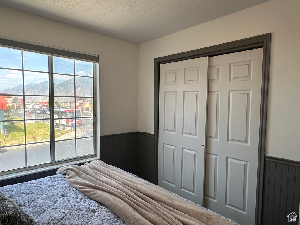 Bedroom featuring a wainscoted wall, a textured ceiling, a mountain view, and a closet