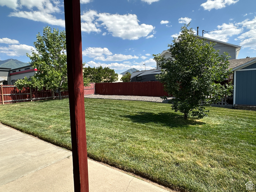 View of yard