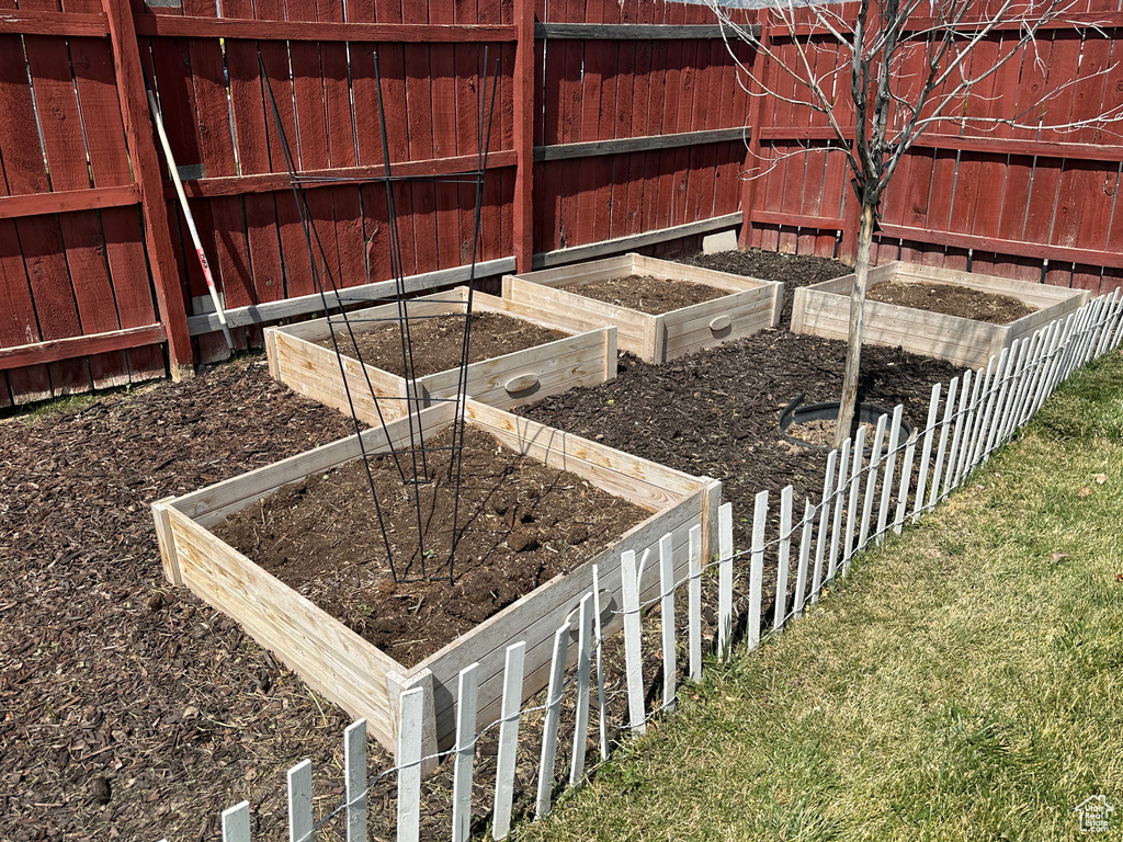 View of yard featuring a vegetable garden