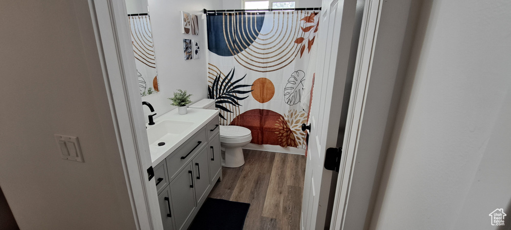 Bathroom featuring vanity, wood finished floors, and curtained shower